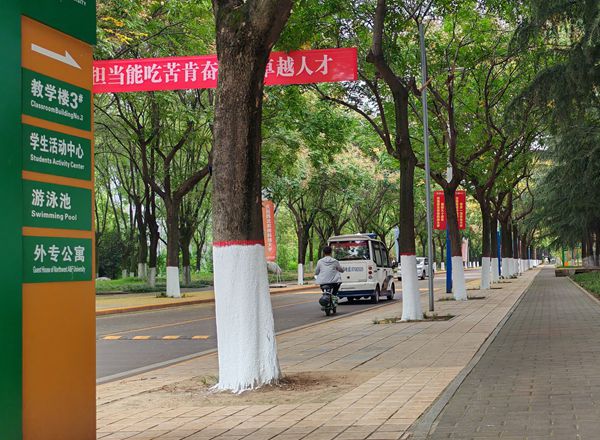 道路维修改造完工图_副本.jpg