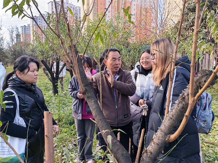 树木修剪户外小课堂   实践促园林学子成长