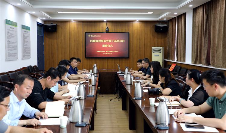 让希望的种子向下扎根，以奋进的力量向上生长
