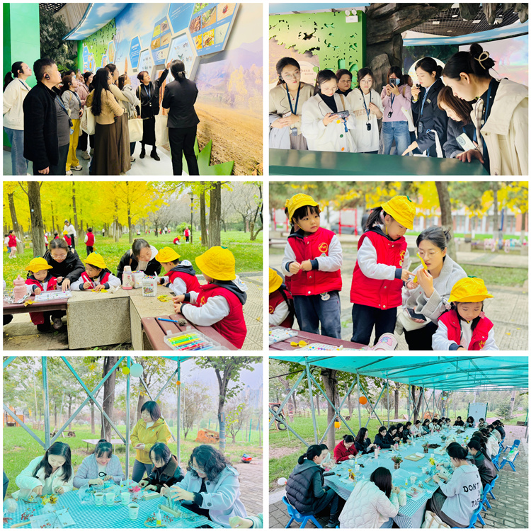 5 融合实践活动.jpg