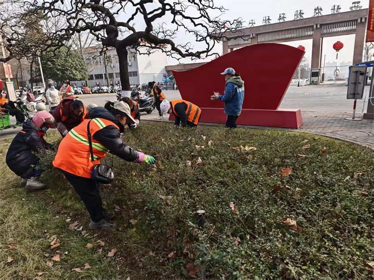 清理落叶.jpg