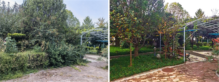 图片1(1) (1) 拷贝.jpg