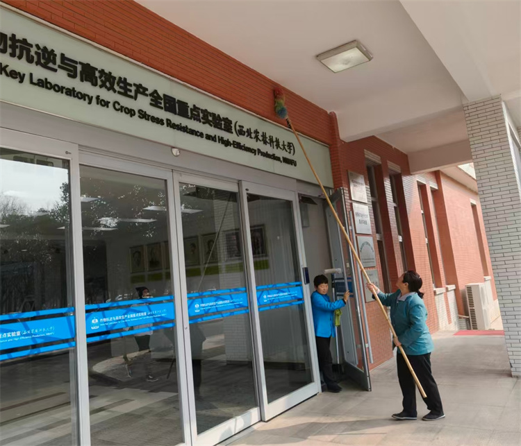 卫生保洁 (10).jpg