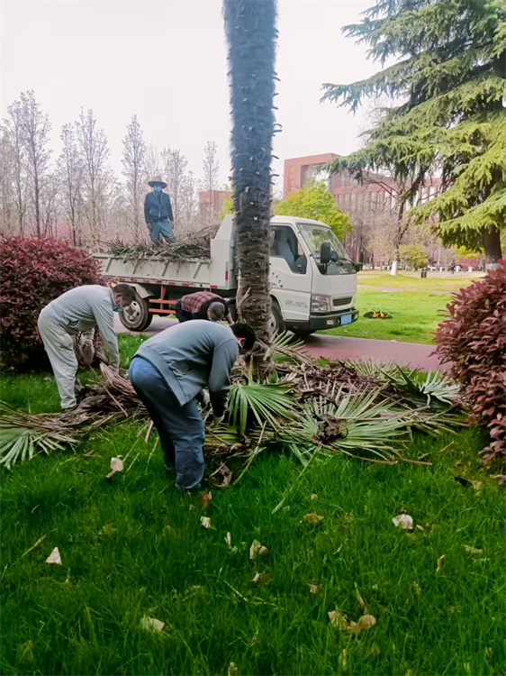 清理绿化垃圾.jpg