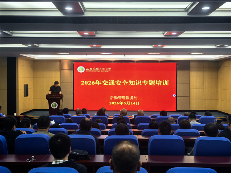 通信运输服务中心主任孙敦宇主持会议.jpg