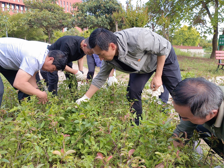 党旗引领护绿植&nbsp;躬身实干靓校园