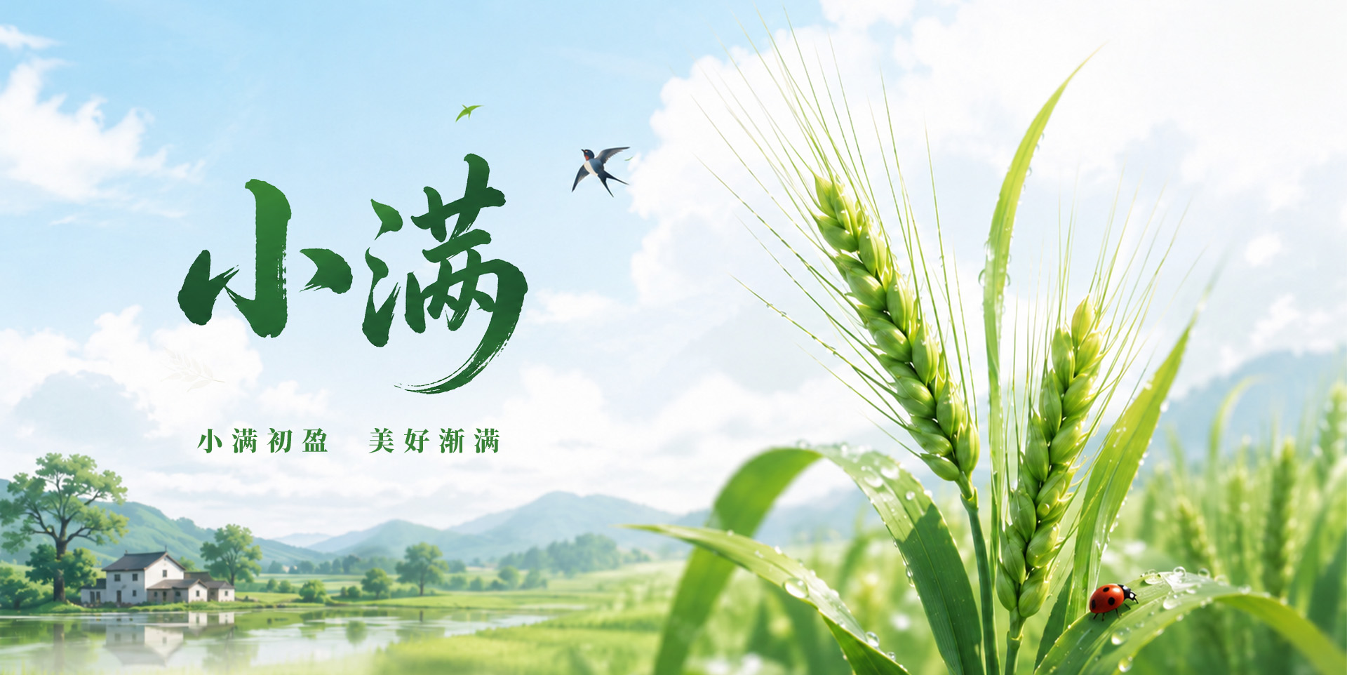 小满初盈，美好渐满