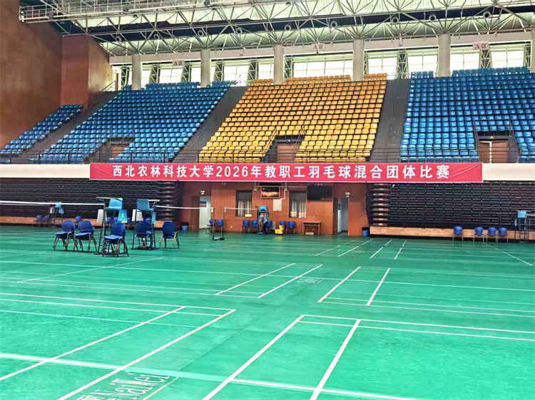 羽毛球赛场.jpg