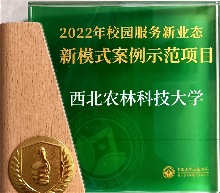D9605FA9A53E19309B606179BC2B4DFC.jpg
