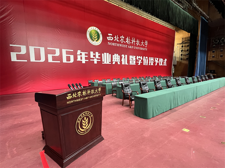 布置完成0.jpg