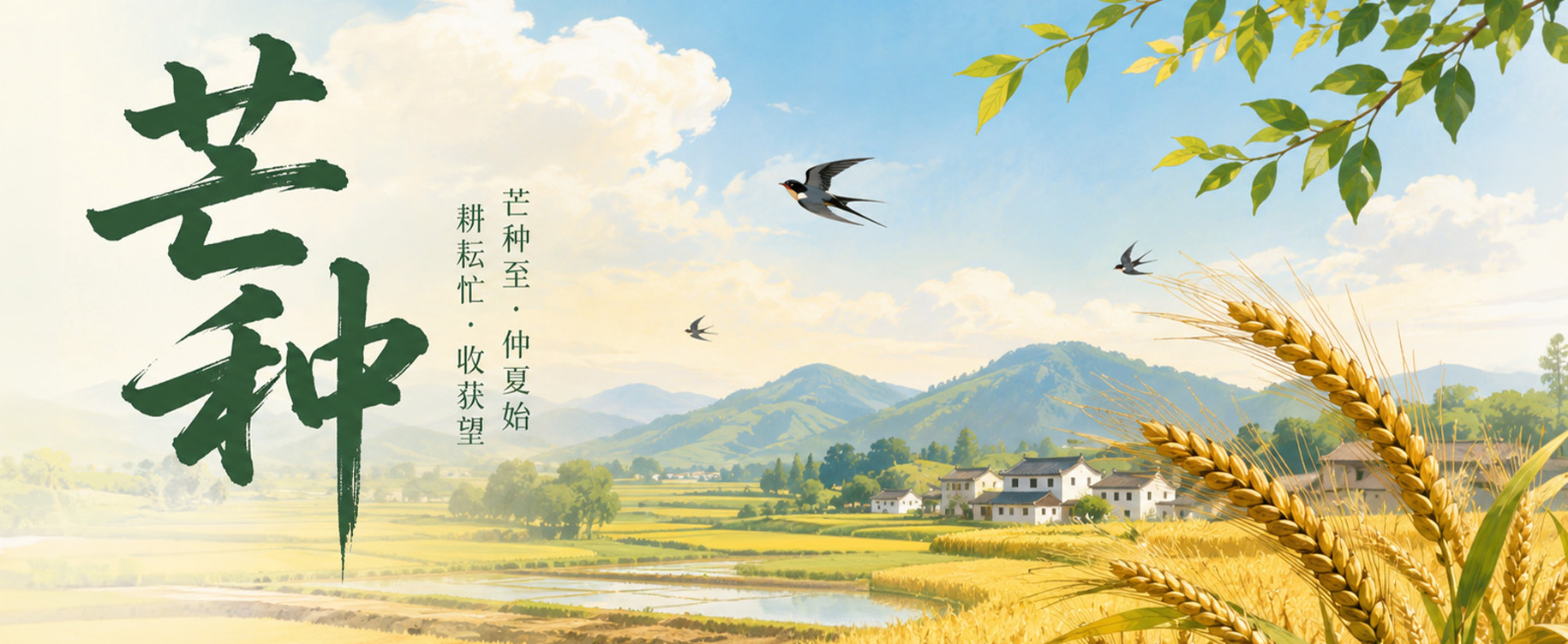 耕耘忙 收获望    芒种至  仲夏始