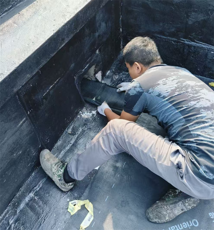 学生公寓屋顶漏水.jpg
