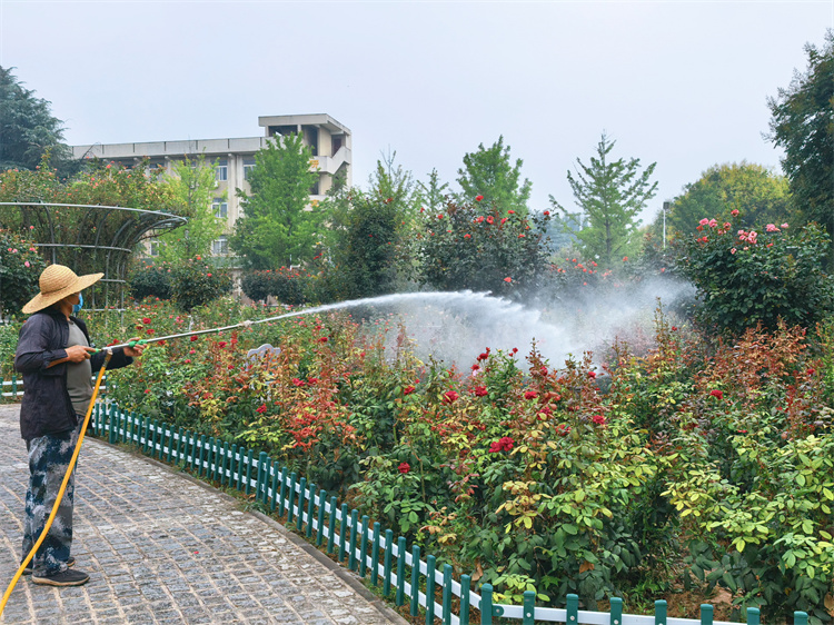 3.病虫害防治.jpg