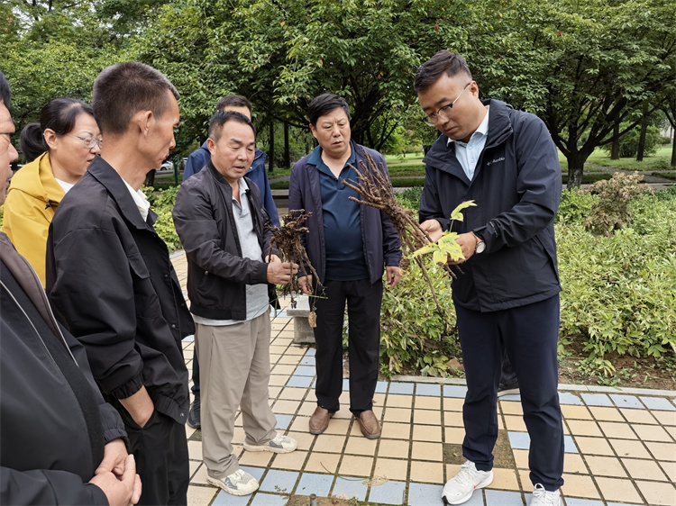 南北物业开展园林植物秋季管养及冬季保护技术培训