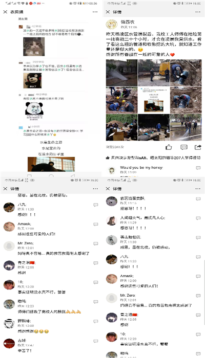 图片1_副本.png