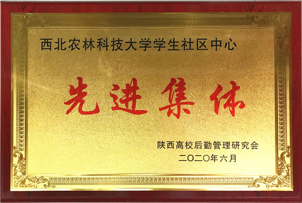 西北农林科技大学学生社区中心“先进集体”奖牌.jpg