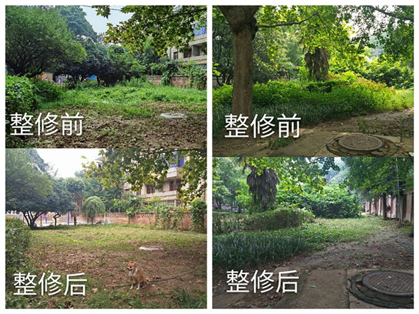光影魔术手拼图_副本.jpg
