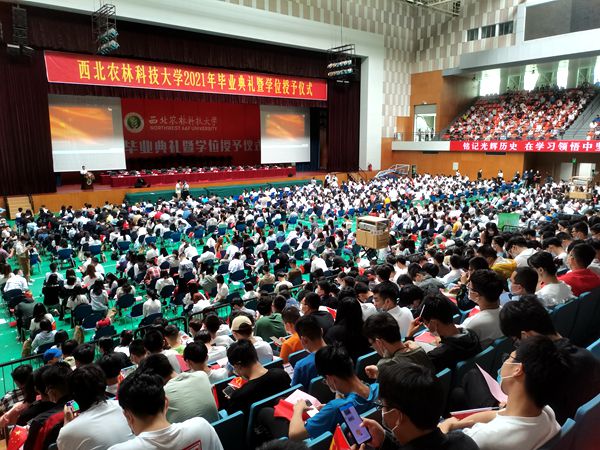 毕业季2.jpg