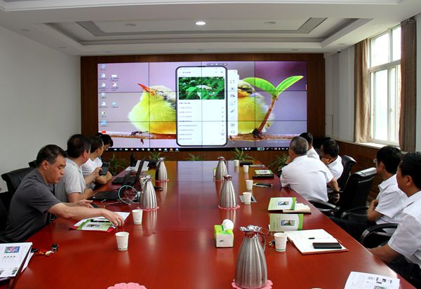 智慧林木123.jpg