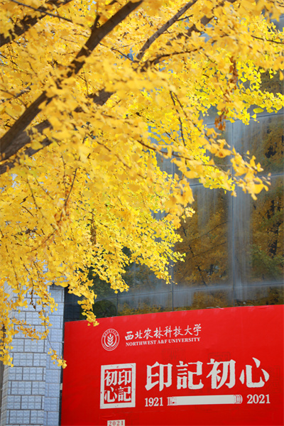 1635218348931_副本.jpg