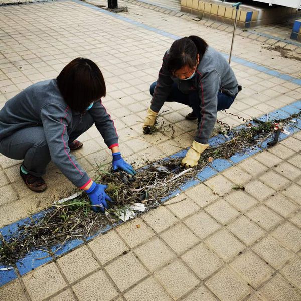 楼顶垃圾清理.jpg