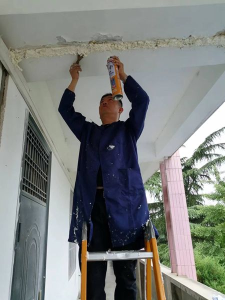 封堵蝙蝠窝.jpg