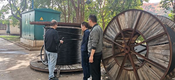 检查电力改造现场_副本.jpg