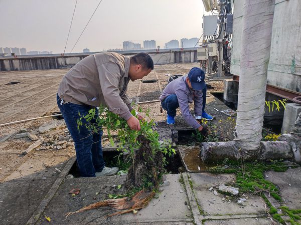 维修屋面.jpg